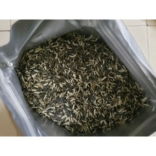 1 lạng - hạt giống vạn thọ mỹ vàng f1 bông to, cây lùn