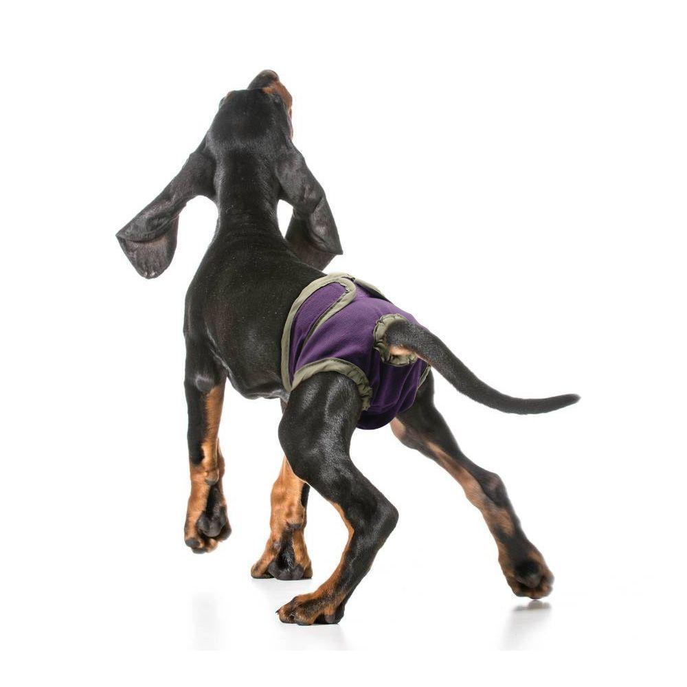 Set 1 Tã Quần Thoáng Khí Có Thể Giặt Lại Dành Cho Chó Cưng