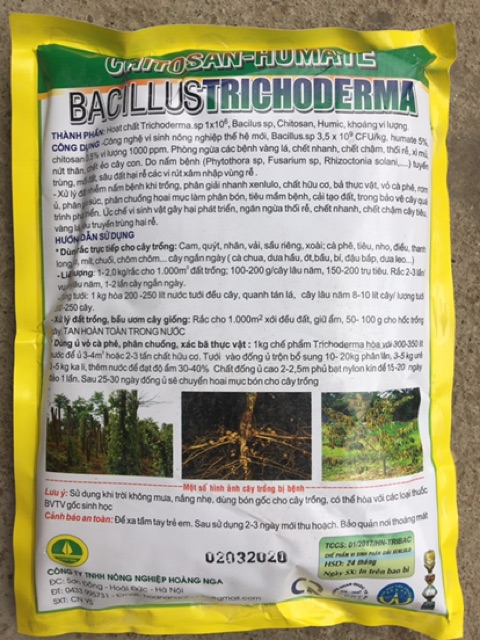 Chế phẩm Trichoderma Chitosan-humate (hạt, tan hoàn toàn trong nước) tưới gốc trị thối rễ, vàng lá trên cây trồng