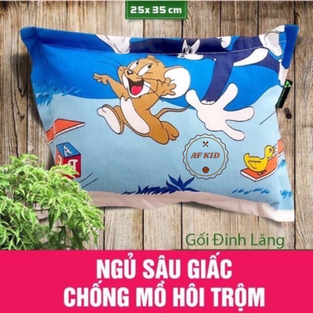 Gối Đinh Lăng Chống Mồ Hôi Trộm - Giúp bé có giấc ngủ ngon