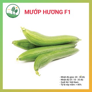 Hạt Giống Mướp Hương F1 - 5gr