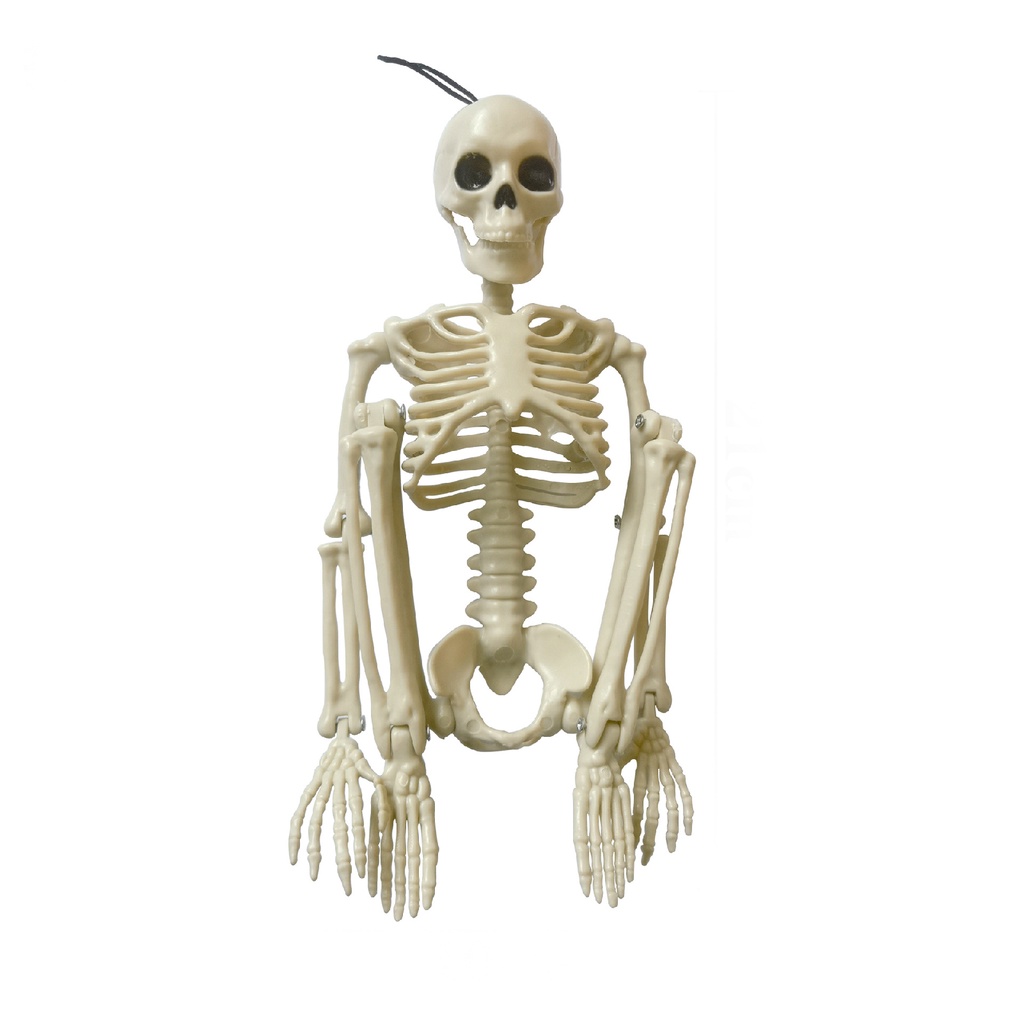 Ga-skeleton Mô Hình Bộ Xương Nhựa Có Thể Di Chuyển Trang Trí Cảnh Quan Halloween