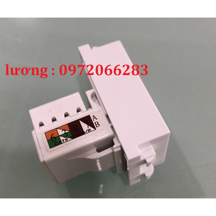 Nhân mạng âm tường cat6 mô đun ổ cắm mạng