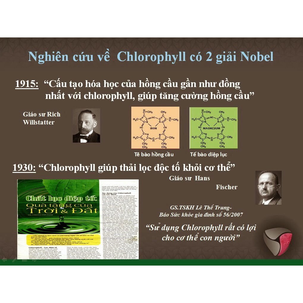 (Chính Hãng) Diệp Lục Colagen Green Powder (Tặng Bình Thủy Tinh 300ml) Làm Đẹp Da, Tăng Cường Nội Tiết Tố,Giarm Khô Hạn | BigBuy360 - bigbuy360.vn