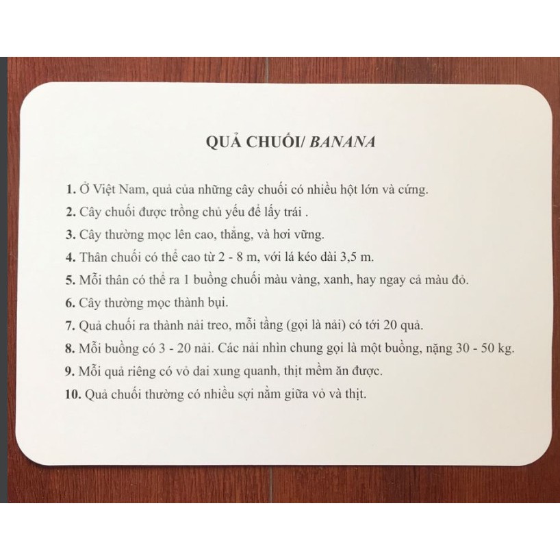 Thẻ Học Cho Bé Thông Minh Chuẩn Flashcard Glenn Doman, 300 Thẻ Chủ Đề Thế Giới Xung Quanh Loại To Song Ngữ