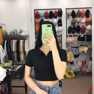 Polo trơn ngắn