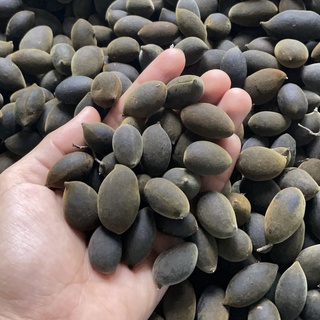 Xoay rừng, trái xoay rừng nguyên vỏ Gia Lai 1KG NHII FOOD thực phẩm sạch nhà làm