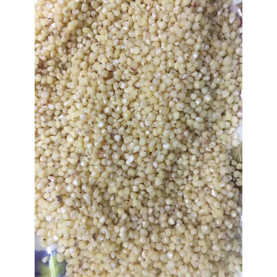 COMBO 2kg HẠT Ý DĨ NẾP / HẠT BO BO NẾP - hạt sạch to mẩy nấu cháo làm ngũ cốc