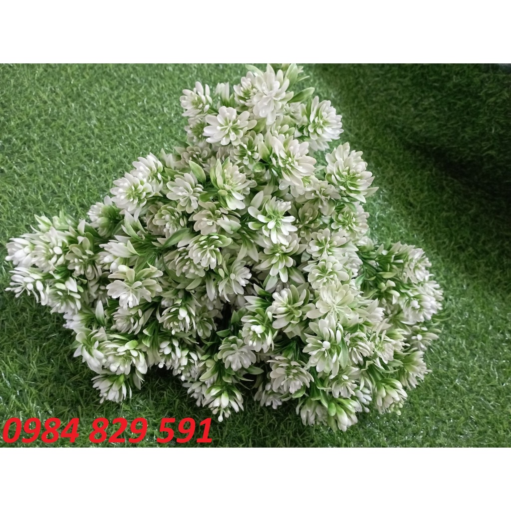 Cụm điểm hoa bưởi