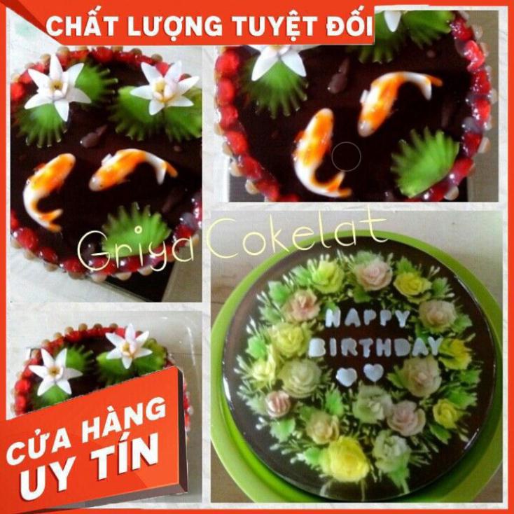 Khuôn nhựa làm rau Câu 9 Cá Chép Nhỏ an toàn, tiện dụng, bền đẹp