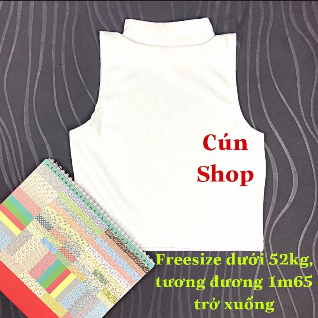 Áo croptop nữ kiểu ôm, áo thun croptop cổ lọ sát nách chất vải cotton mềm mịn LIKANO CRT27 | BigBuy360 - bigbuy360.vn
