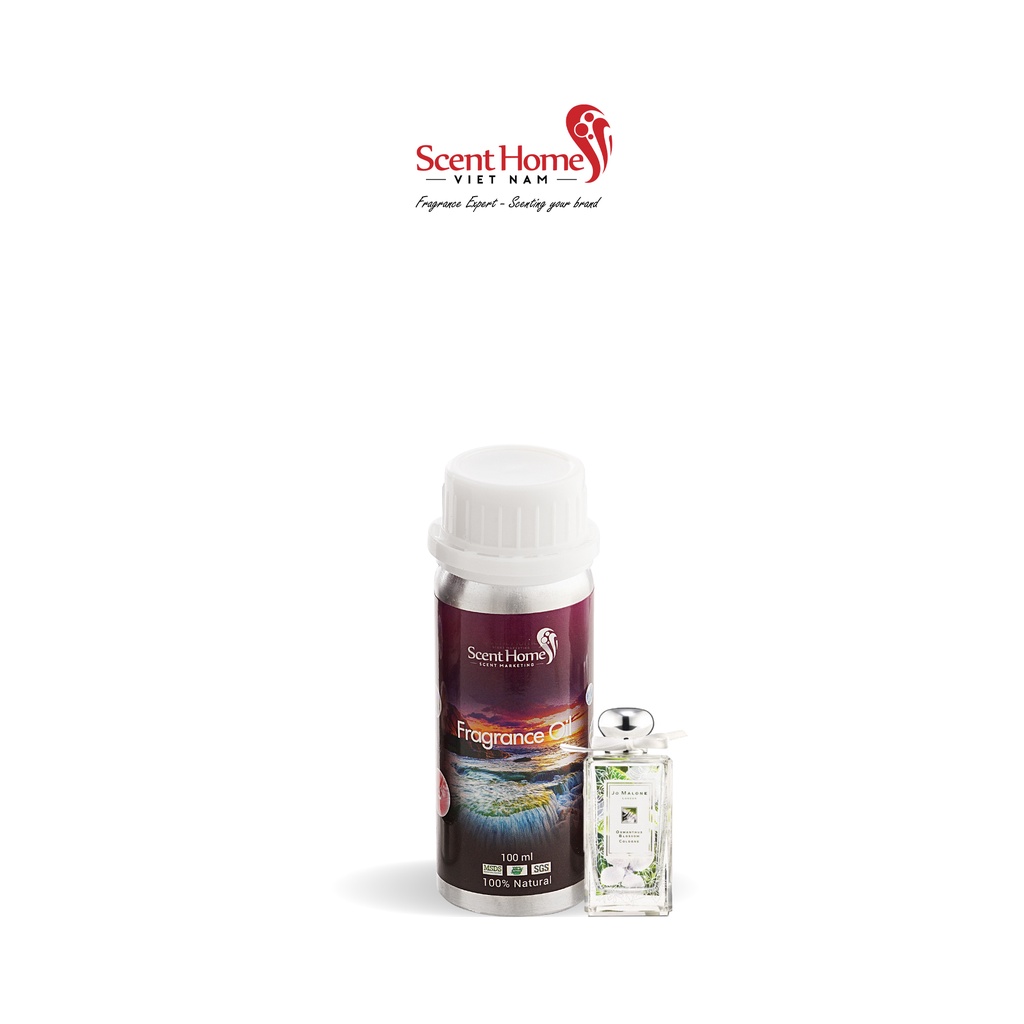 [Chính hãng] Tinh dầu Fragrans - Scent Homes (Fragrans - 50ml,100ml,250ml)
