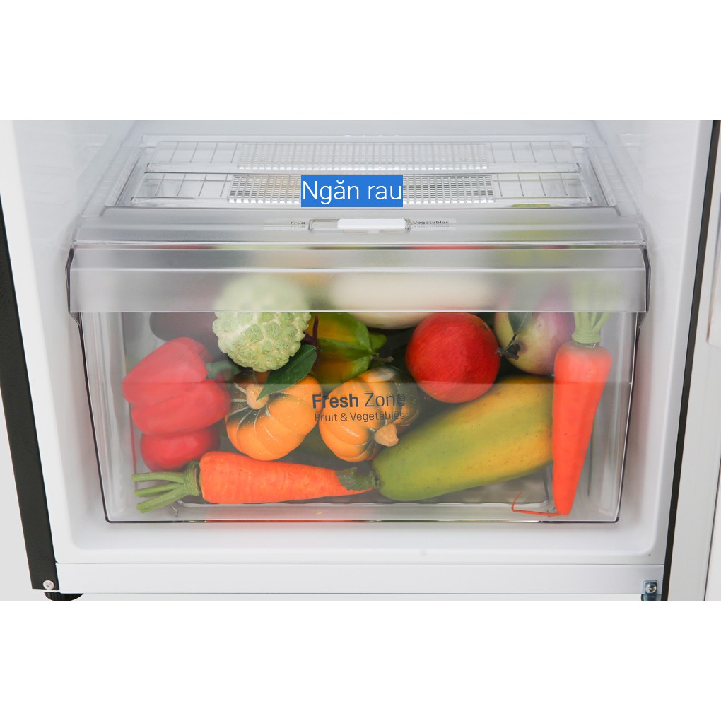 Tủ lạnh LG 2 ngăn GN-M208BL - Hàng Chính Hãng