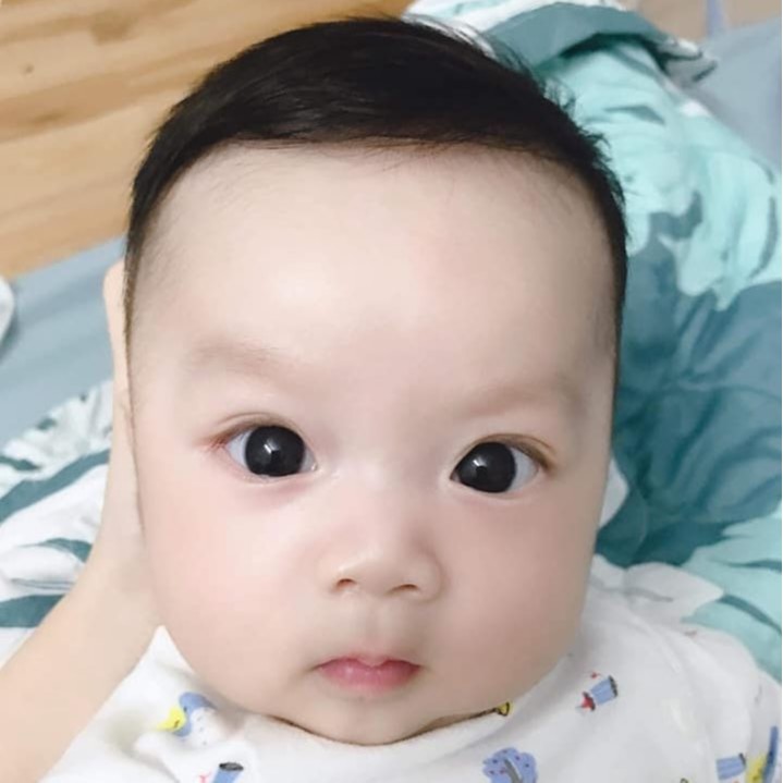 Khỏe Như Voi Shop24h