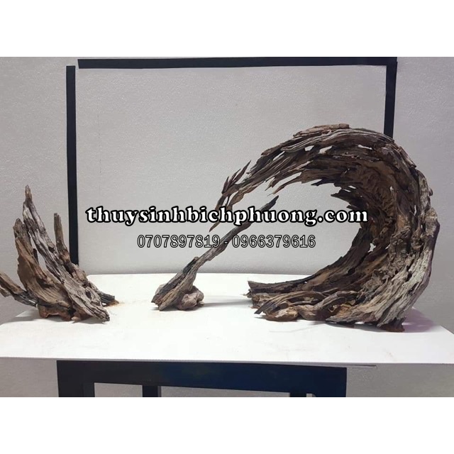 1 KG LŨA SẦM LŨA SĂN ĐÁ - LŨA SẦM ĐỎ CHUYÊN DỤNG THIẾT KẾ HỒ THUỶ SINH