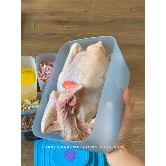Hộp đông 2.3l duy nhất đựng được gà nguyên con