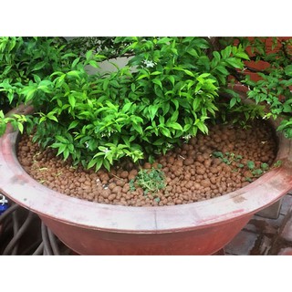 Sỏi nhẹ (Đất nung) trồng cây 3size -2kg