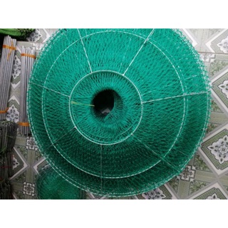 Lồng chạy gà