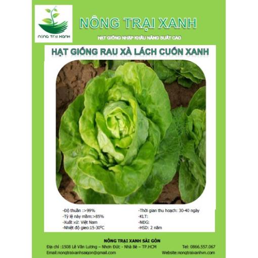 Hạt Giống Rau Xà Lách Cuốn Xanh Ngon Dễ Trồng  - MUA 3 TẶNG 1 CÙNG LOẠI KHUYẾN MẠI TRONG 1 NGÀY