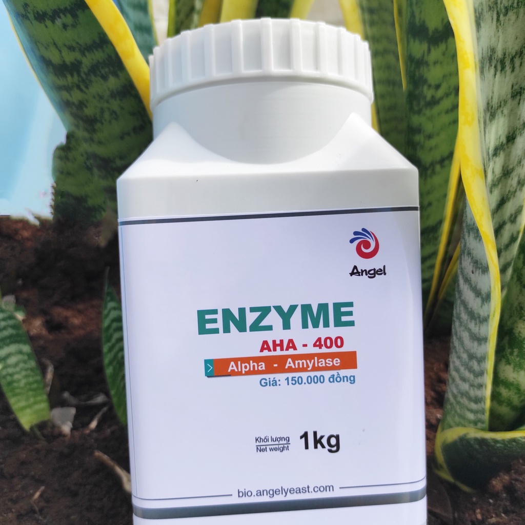 Enzyme Alpha Amylase AHA 400 -1kg ( dạng lỏng)