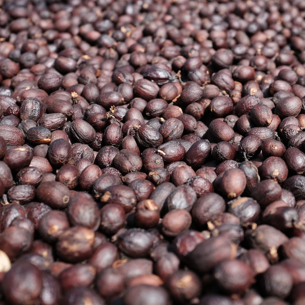 Cà Phê Đặc Sản Arabica Mountain 250gram - Bean In Love | BigBuy360 - bigbuy360.vn