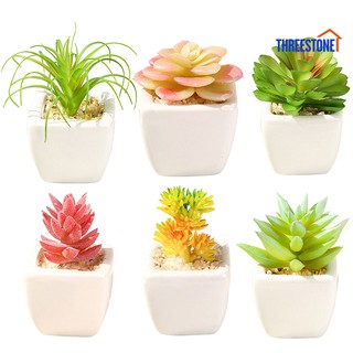 [Cửa Hàng Bộ Tưng Bừng]🚚🚚 Chậu Cây Bonsai Mini Trang Trí Sáng Tạo