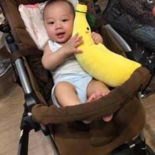 Chuối bông Moshi Moshi Thái Lan
