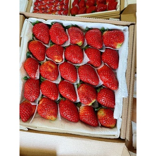 Dâu Nhật Sky ngọt thơm size 25 trái