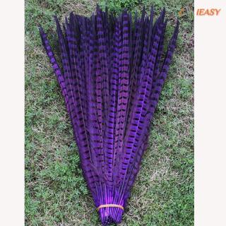 10 lông vũ nhiều màu 30-35cm