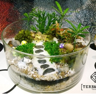 Bể thủy tinh tròn đựng thạch trà sữa, thả cá 20cm cao 10cm