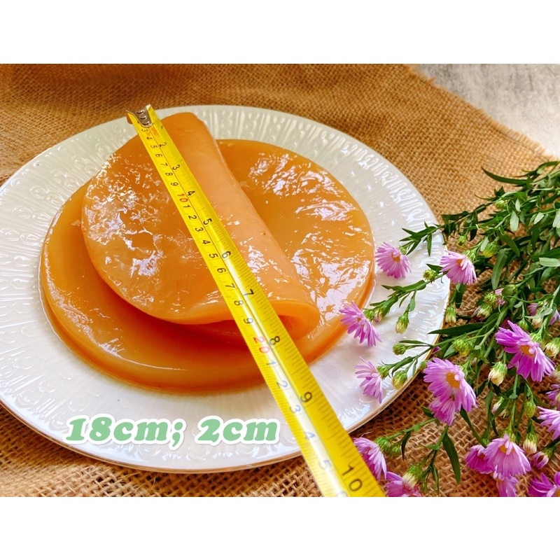 Nấm thuỷ sâm Kombucha