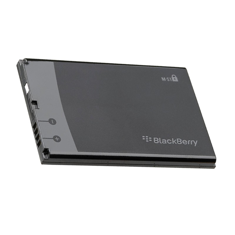 Pin blackberry MS1