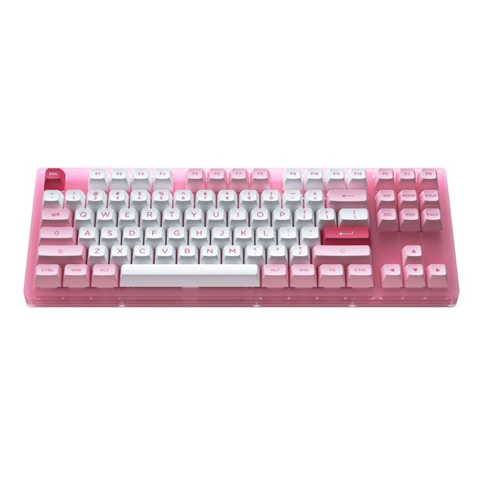 [ XẢ HÀNG ] Bàn phím cơ AKKO ACR87 Pink/White/Blue/Black (Hotswap / RGB / AKKO CS sw Jelly Pink)