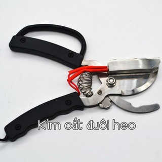 Kìm cắt đuôi heo