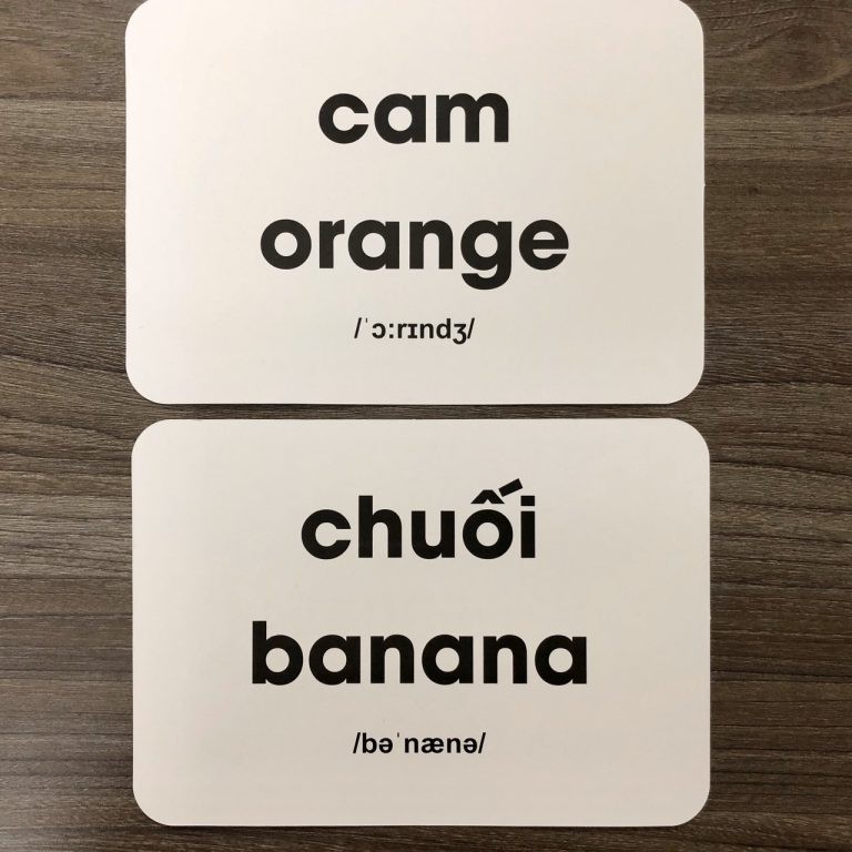 Combo Bộ Thẻ Học Thế Giới Xung Quanh + Đọc Chuẩn Flashcard Glenn Doman