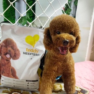 Thức ăn cho thú cưng teppy