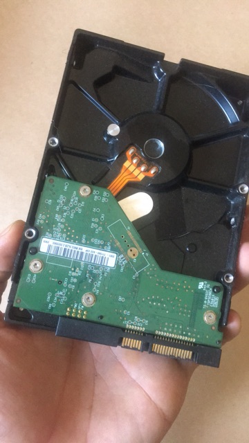 Ổ cứng máy để bàn desktop 320g sata đã cài sẵn 7200rpm