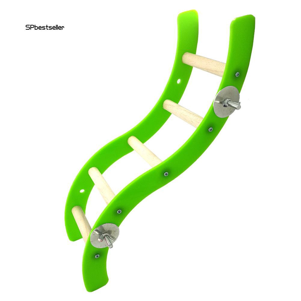 Cầu thang gợn sóng bằng nhựa acrylic gắn lồng vẹt đầy tiện lợi