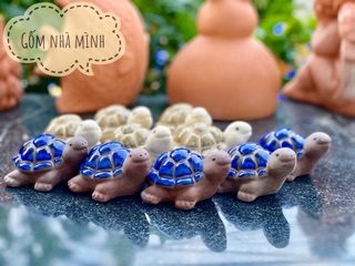 Rùa men nhí
