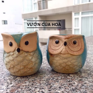 Chậu cú xanh