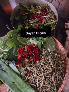 Dung dịch vệ sinh phụ nữ thảo mộc