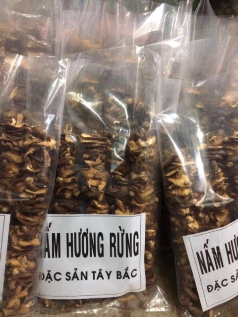 Nấm hương rừng Điện Biên | BigBuy360 - bigbuy360.vn