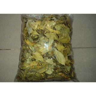Chè cỏ nghệ an thần dược lợi sữa