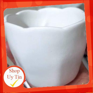 Chậu sứ miệng hoa nhỏ🔥 |FREESHIP 🌺 SIÊU XINH | LỖI 1 ĐỔI 1