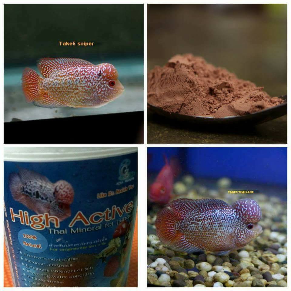 HIGH ACTIVE Khoáng Chất Cho Cá  Sung, Giảm Stress, Lên Màu Đẹp - Nhập khẩu Thái Lan