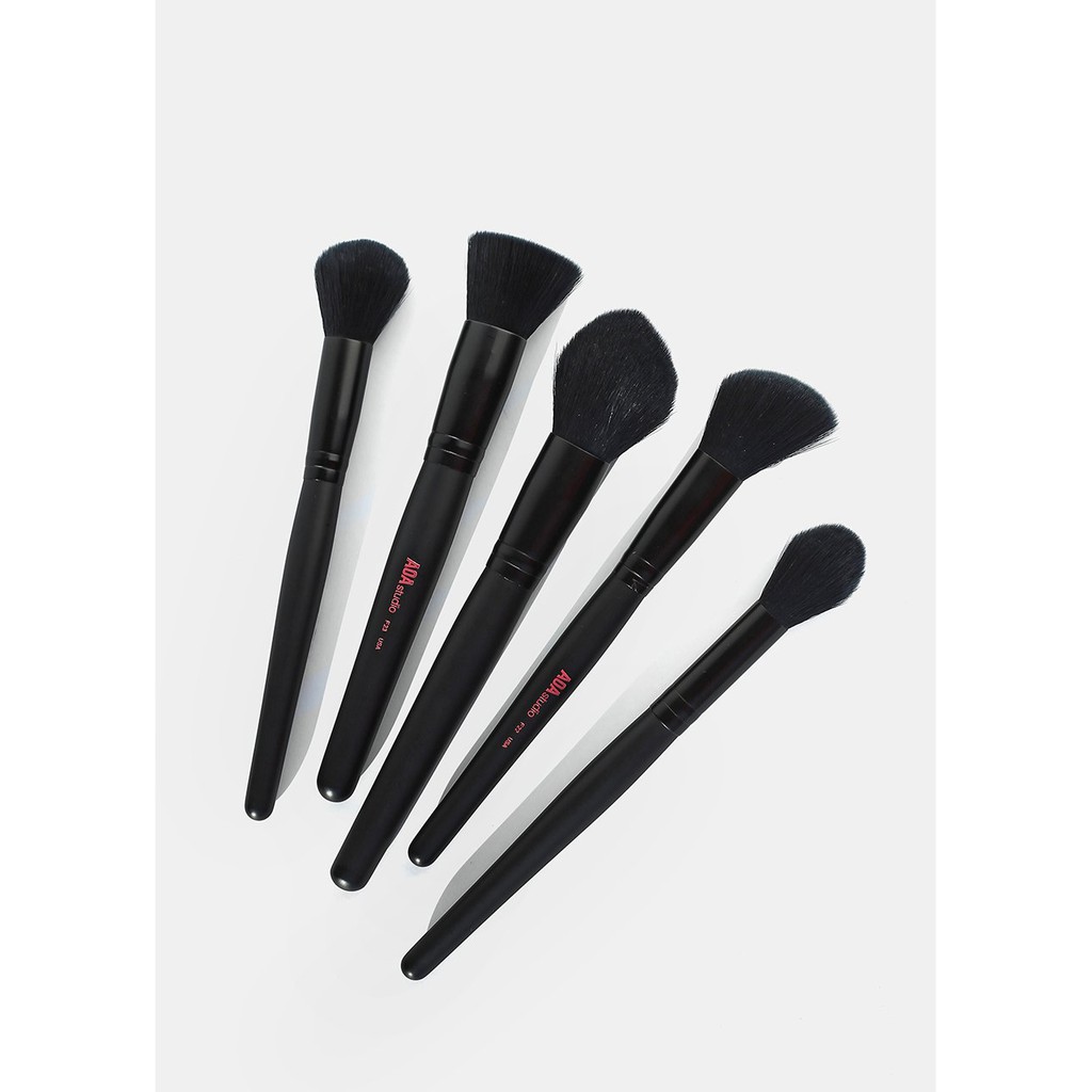 BỘ CỌ 10 CÂY KÈM BAO DA AOA PLUSH Faux Mink Brush Set