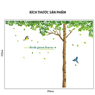 (Size Lớn) Decal dán tường BIG TREE HPM1098