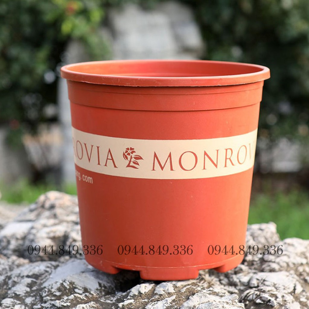 CHẬU NHỰA MONROVIA SỐ 3  - CHẬU NHỰA TRỒNG CÂY CANHR TRONG NHÀ
