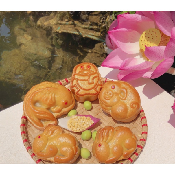 Combo vỏ bánh nướng