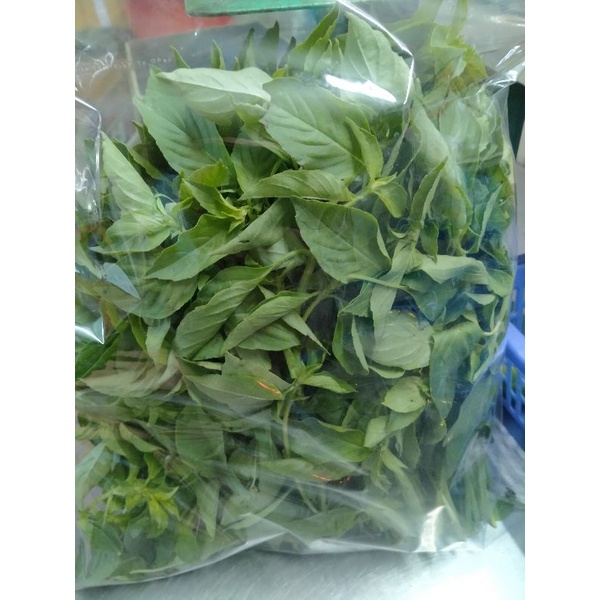 Lá é tươi nguyên cành 1Kg -Lá é tươi đặc sản Phú Yên